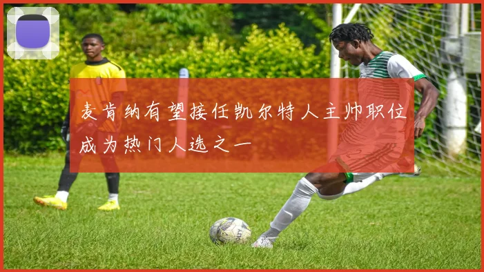 麦肯纳有望接任凯尔特人主帅职位成为热门人选之一