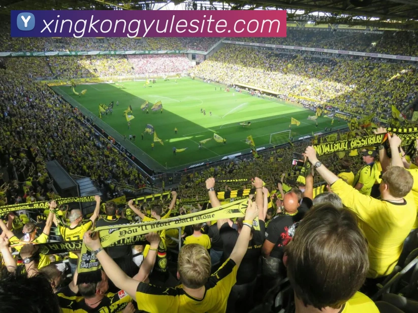 星空娱乐平台生态图